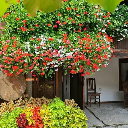 за гости The Old House Hotel 3*
