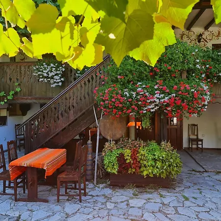 за гости The Old House Velingrad